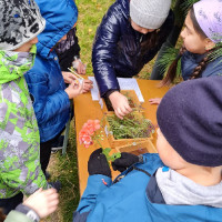 «Эколята открывают тайны городской природы»