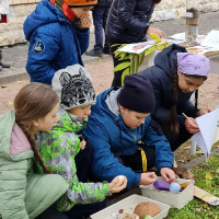 «Эколята открывают тайны городской природы»