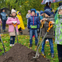 «Посади дерево»