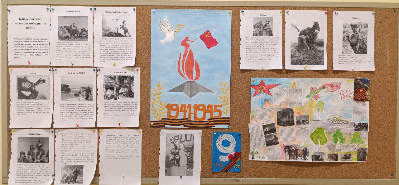 photo_2025-05-08_10-15-22 (3) photo_2025-05-08_10-15-22 (3)